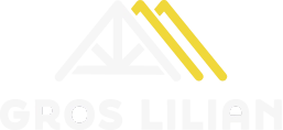 Logo SASU Gros Lilian à Montreal et Condom - Fourniture et pose d’équipements et centrales photovoltaïques, travaux de charpente, et négoce d’équipements et matériels photovoltaïques.